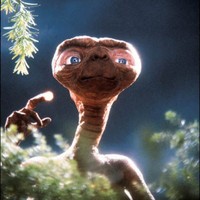 BoBofTheHill's Photo