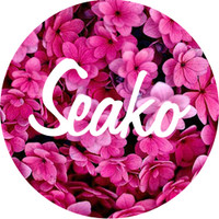 Seako's Photo
