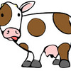 Cow's Photo