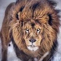 ELHACHIMI201's Photo