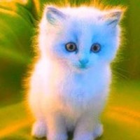 ElChocuelo66YT's Photo