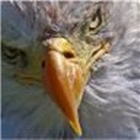 Withoutheart's Photo